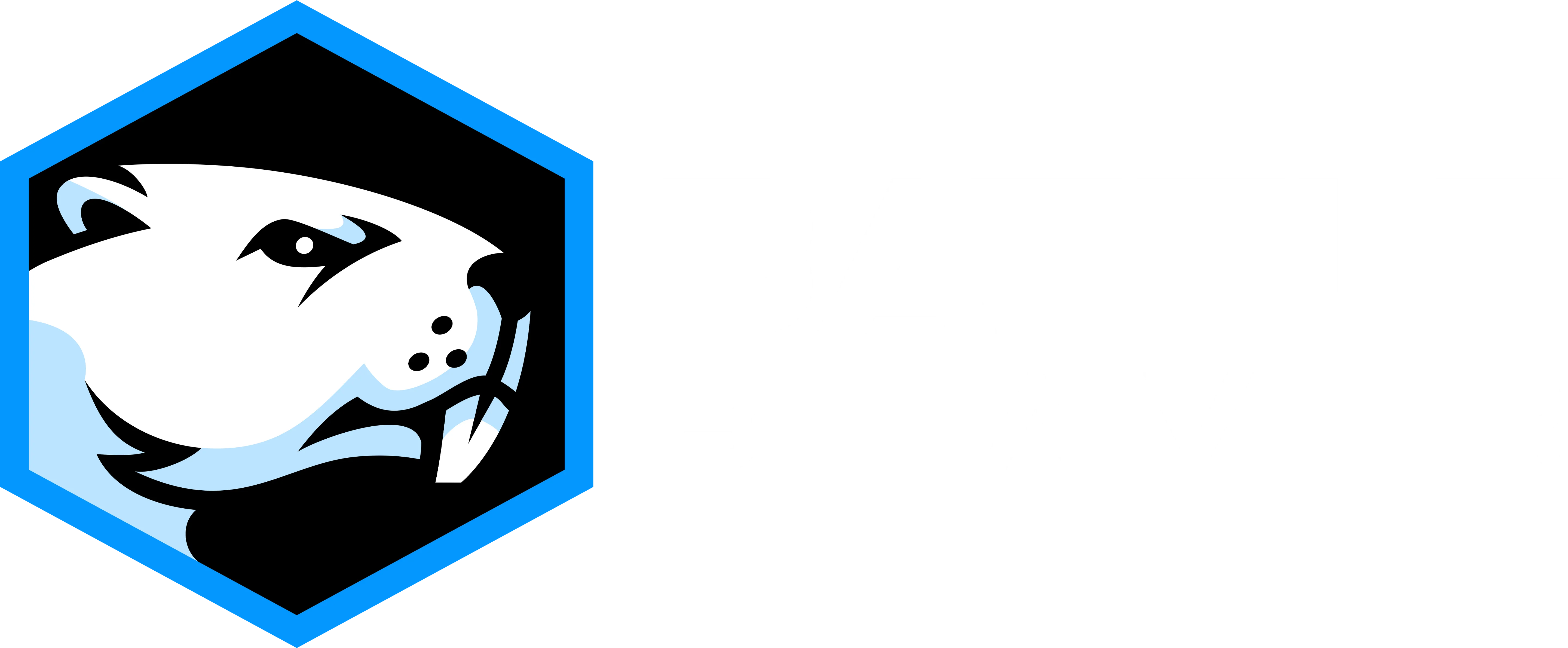Battle Beaver Customs
