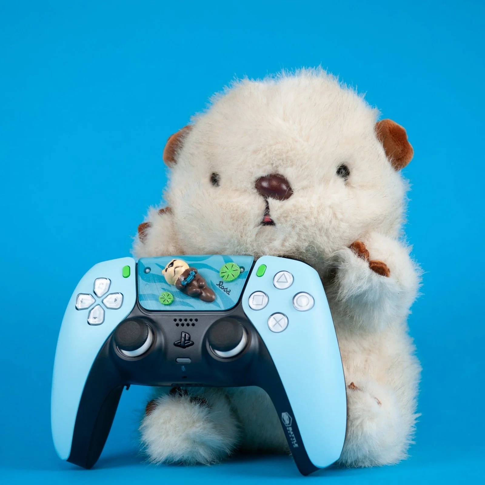 The Rosa Controller (2D) - Image 3